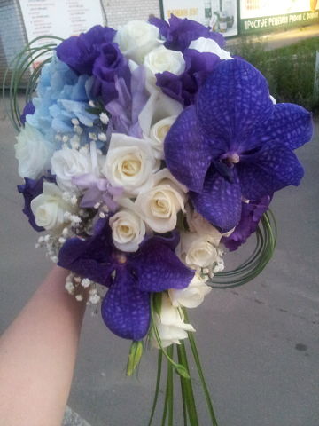 Моя флористика. Много фото.