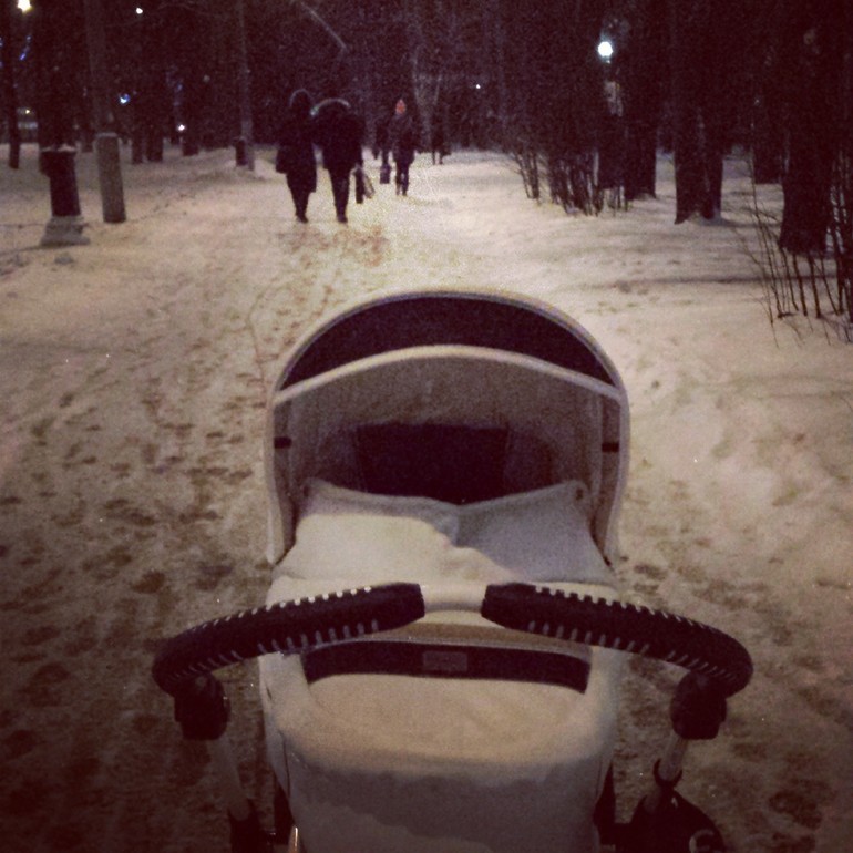 Отзыв emmaljunga city cross plus korg