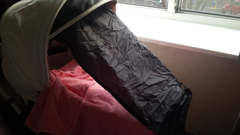 Отзыв emmaljunga city cross plus korg