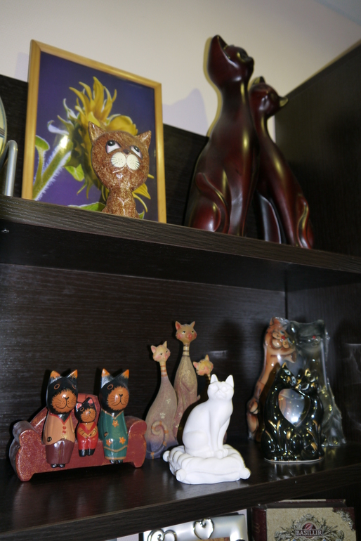 ФМ Домашние животные. Кошка.