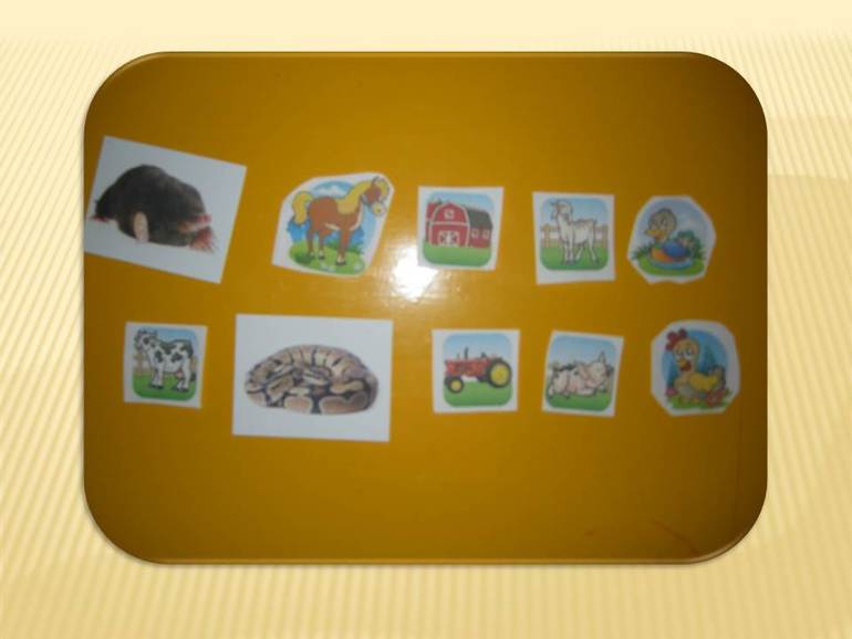 Месяц занятий Шичида (1,7) Наше юбилейное занятие