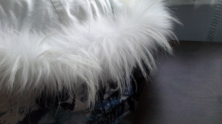 наша опушка