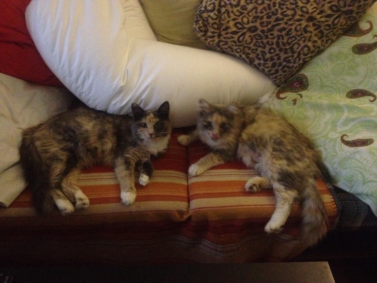 Роды в подвале