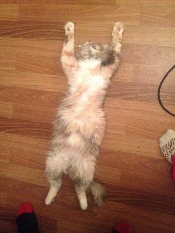 Роды в подвале