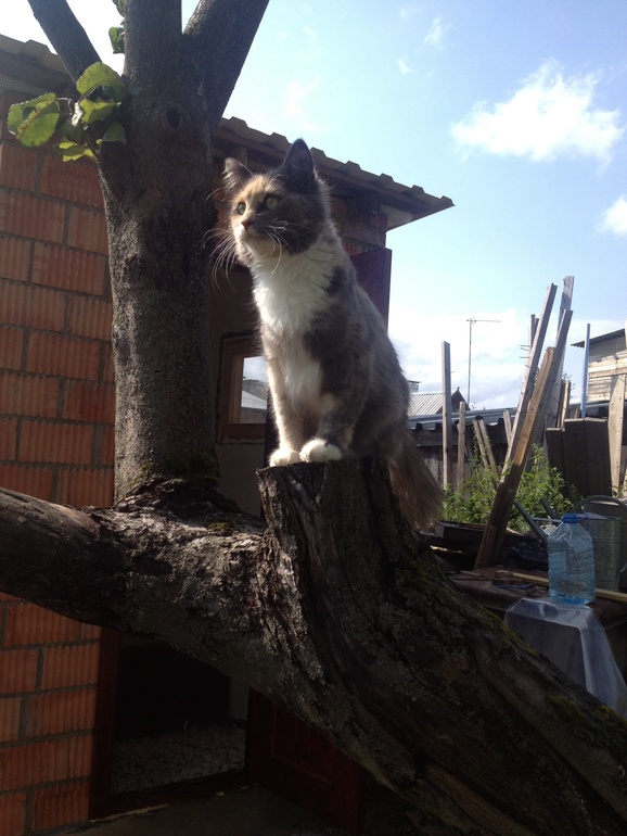 Роды в подвале