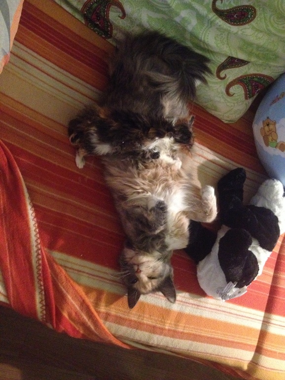 Роды в подвале