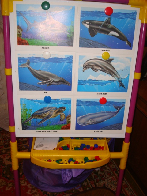 ФМ Море. День Четвертый