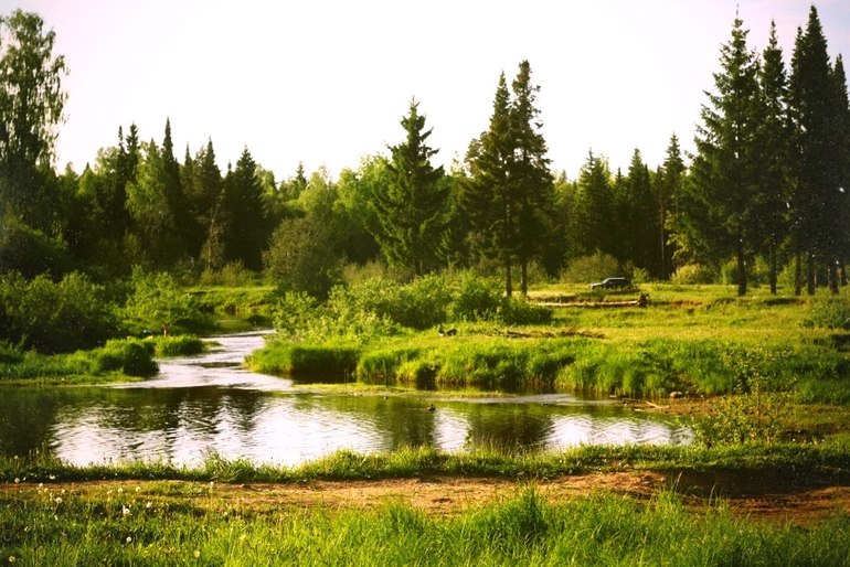 Долой из города!!! Хочу жить в деревне!!))))