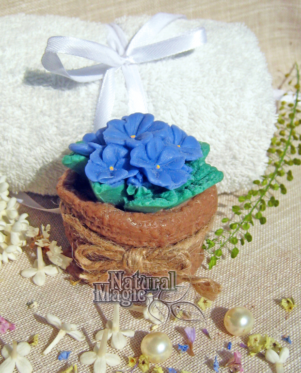 Расцвели цветы:)