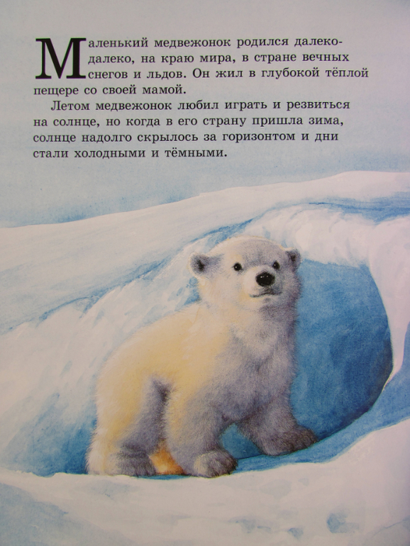 Колыбельная про медведей. Книги о белых медведях. Сказка про белого медведя. Книги о медвежонке Умке. Детские книги про медведей.