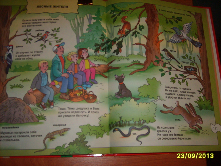 Мои запасы