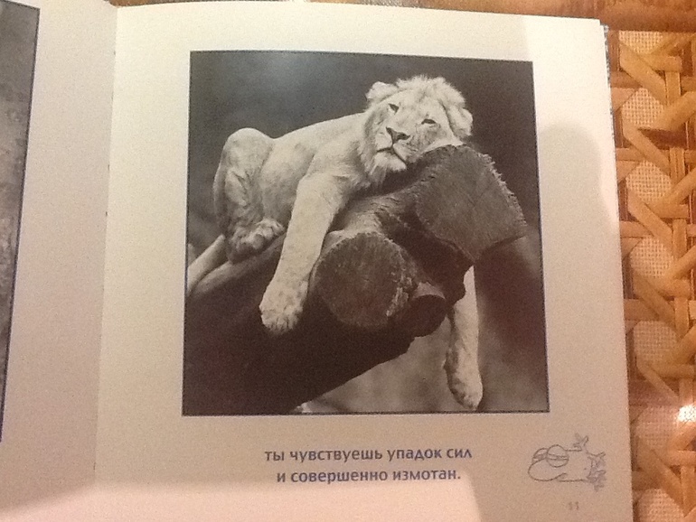 ТН эмоции. Скука и интерес