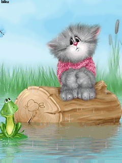 милые котейки)))