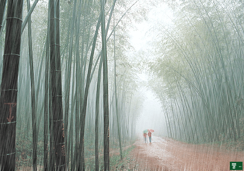 хочется лета,дождя)))