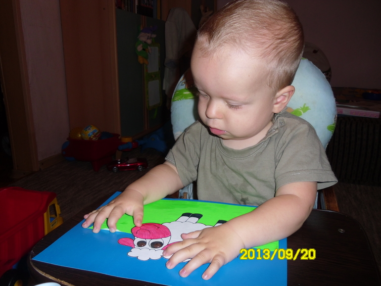 Тема дня: Вівця, баран, ягня (Овечки)