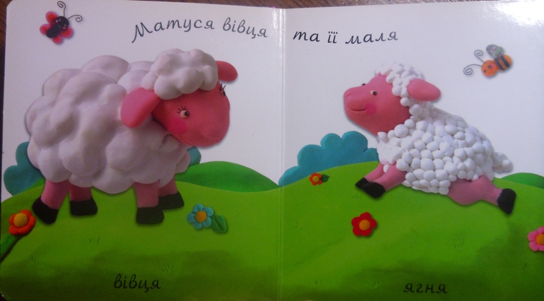 Тема дня: Вівця, баран, ягня (Овечки)