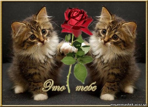 24edb85b24a11fafcb283666465c7971.jpg