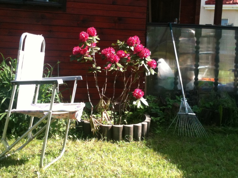 Решила похвастаться