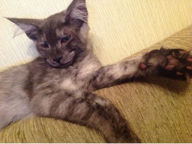 История нашего планирования