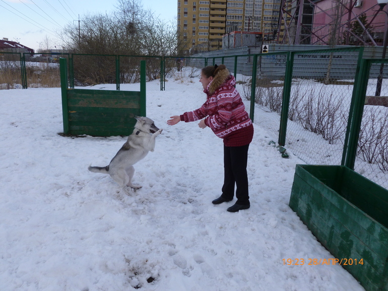 Просто так)