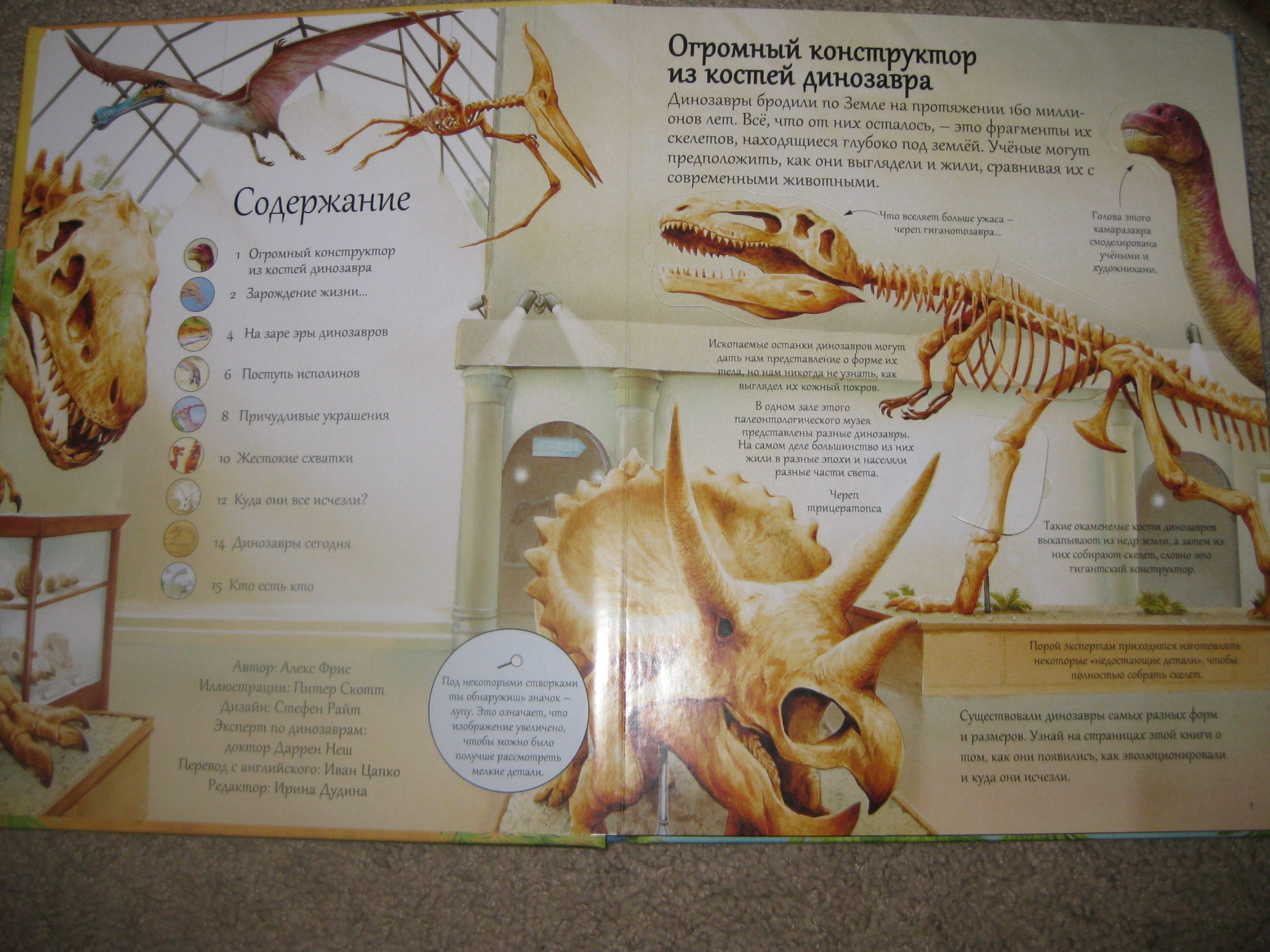 Книга про динозавров