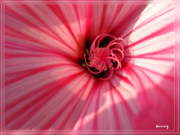 С Весной, девочки!