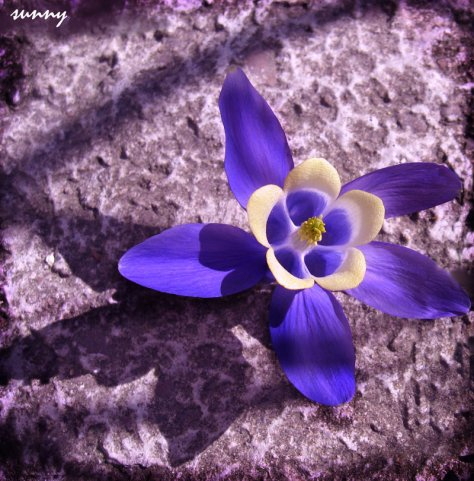 С Весной, девочки!