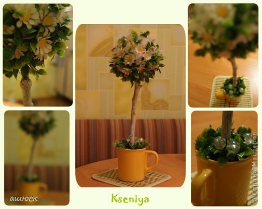 Мои топиарчики