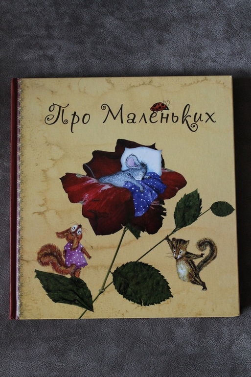 Дневник чтения 2,4-2,5