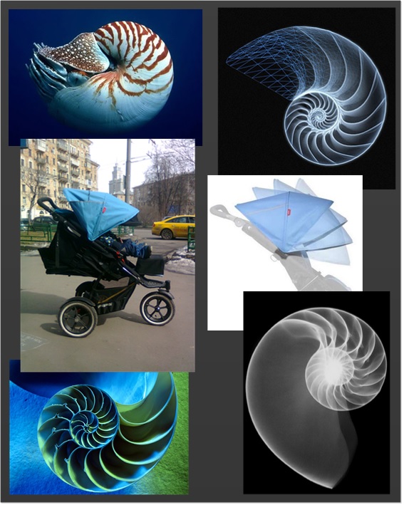 Опыт эксплуатации коляски Phil & Teds - Navigator. часть 1