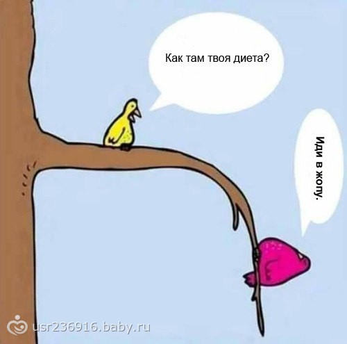Похудение... оно такое.. похудение : ))))) Юмор :-)