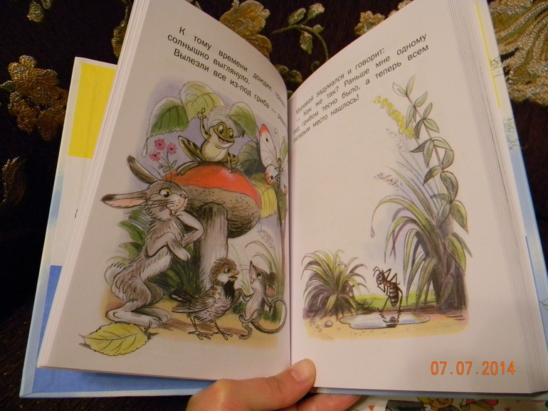 Очередная закупка