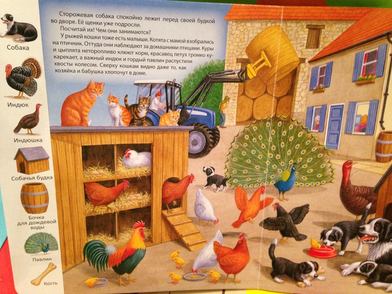 ТН Мои любимые потешки, день 1 Котенька-Коток