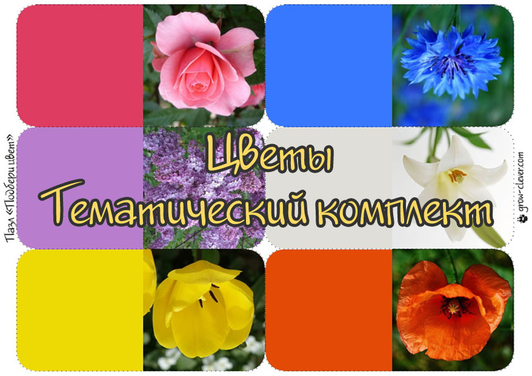 Тематический комплект