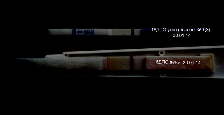 Пост о том, как я была