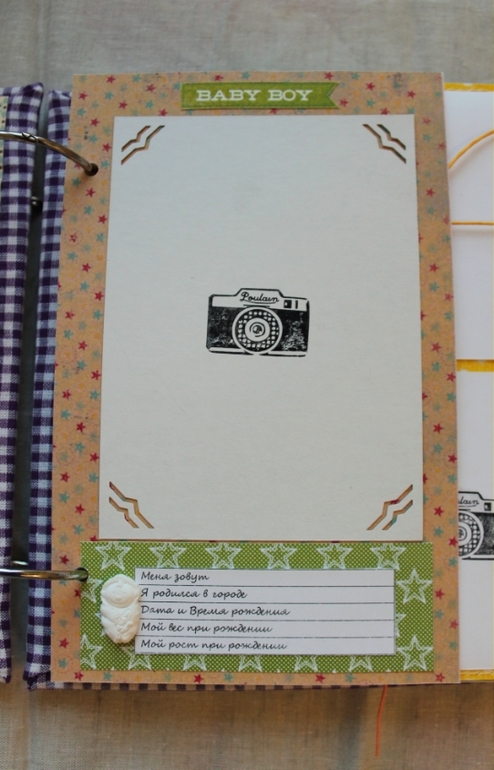 Малышковый сиреневый альбом.