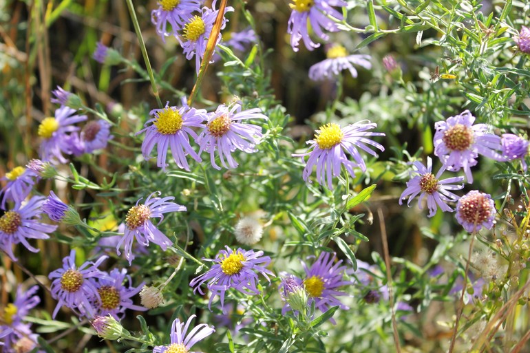 Контрольное задание № 6.