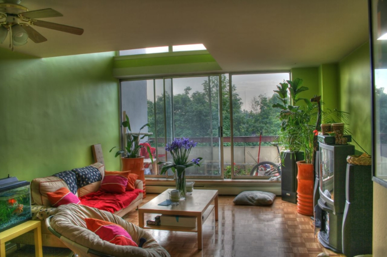 Зеленая комната