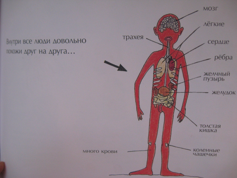 Осторожно - Пернилла Стальфельд!!!