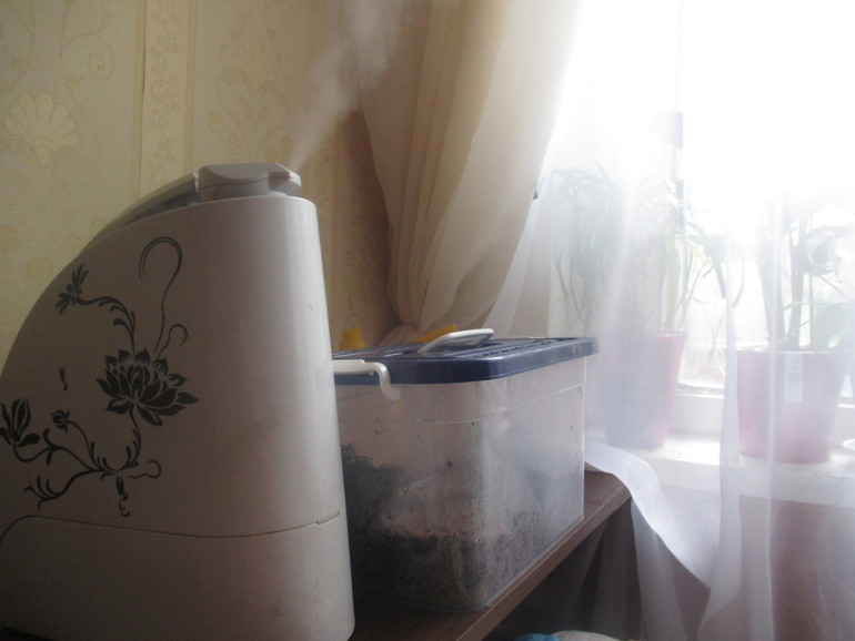 хочу поделится ,мои любимки