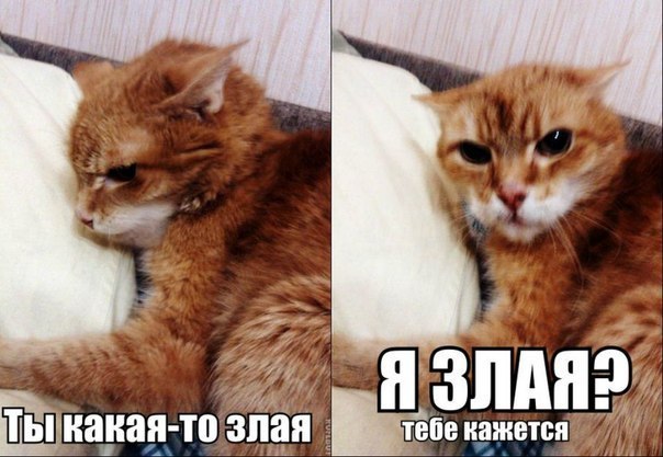 Мое настроение....