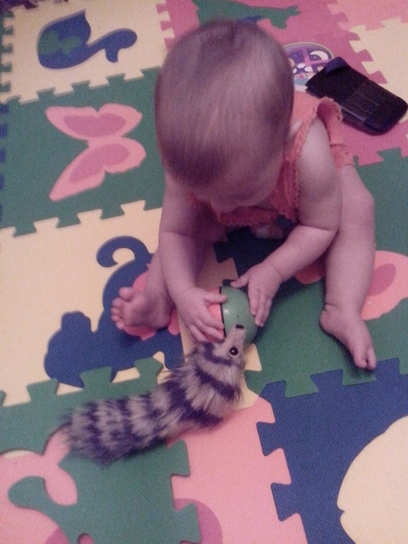 Новая игрушка