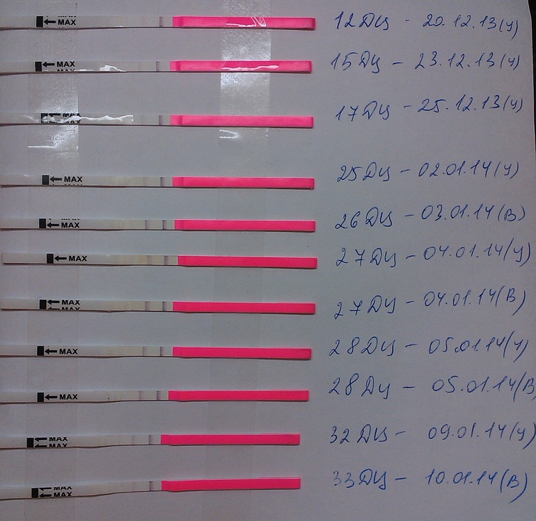 Вопрос про ановуляторный цикл