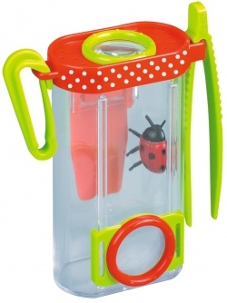 Залетел к нам в окно...