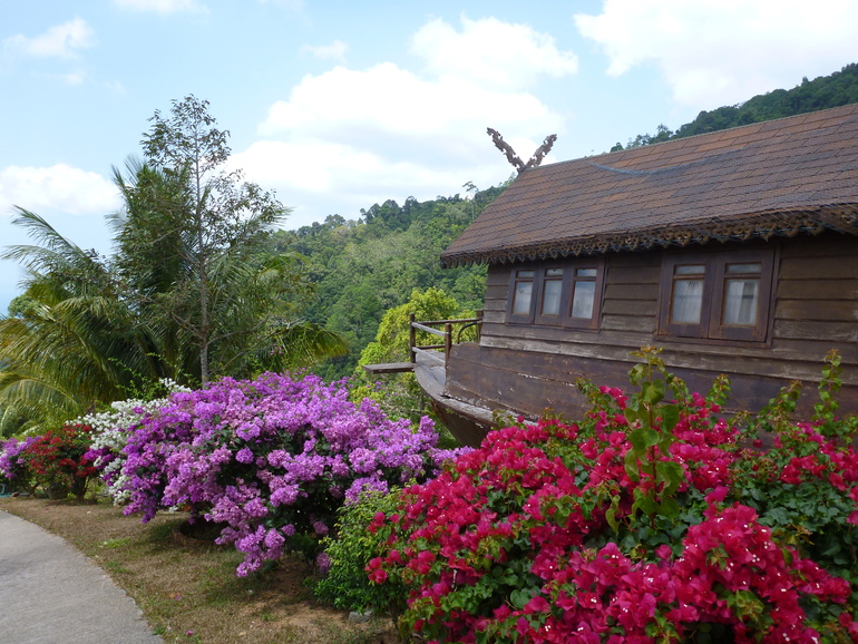 Парадайз парк