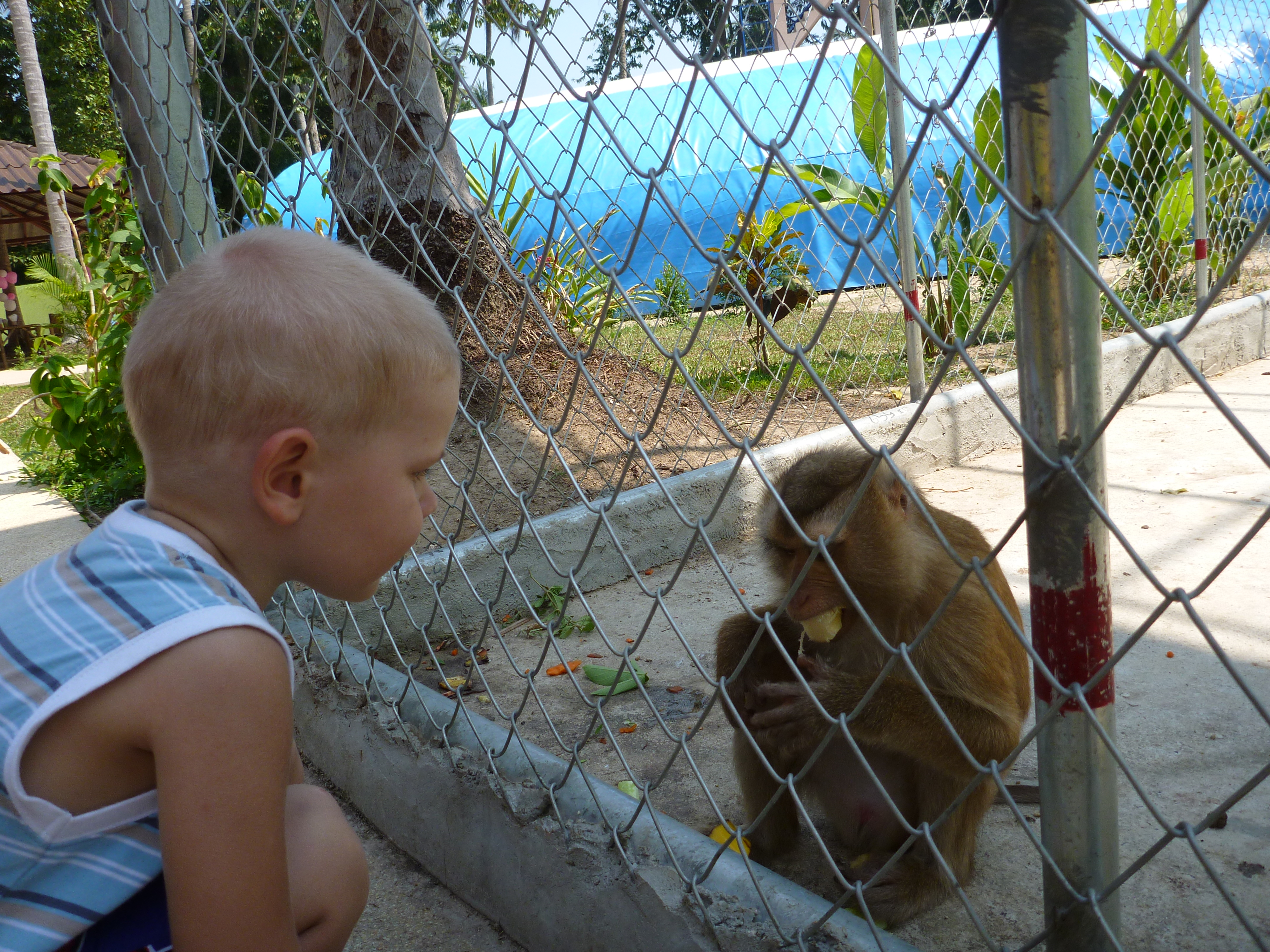 Продолжение)