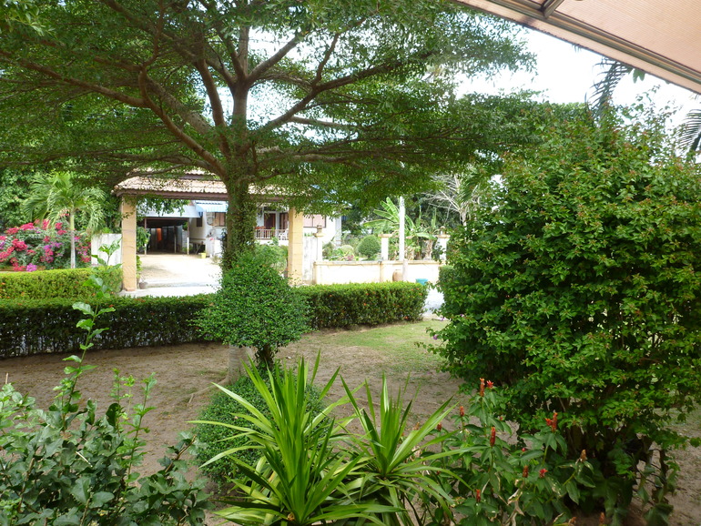 Первые 2 недели на Самуи