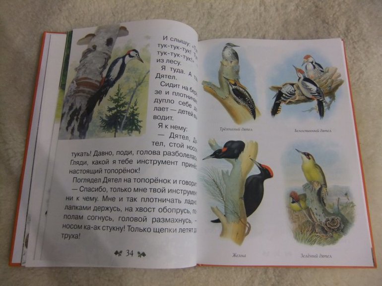 Моя первая зоология книга о птицах. Моя первая Зоология про птиц. Книга моя 1 Зоология о птицах. Книга моя первая Зоология. Книга моя первая Зоология про птиц 3.