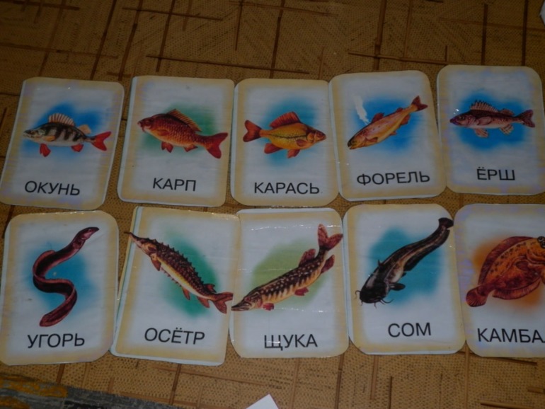 Океаны,моря,реки,озёра,болота...))