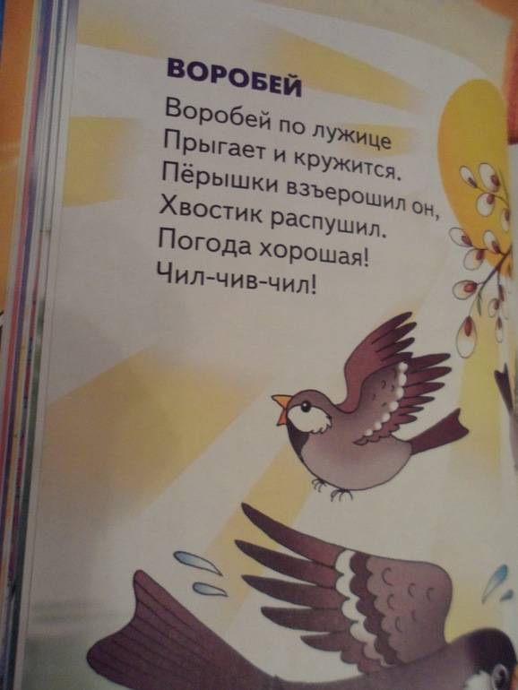 Птицы весной